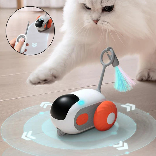 Control Interactive Cat Toy