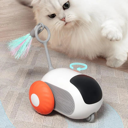 Control Interactive Cat Toy