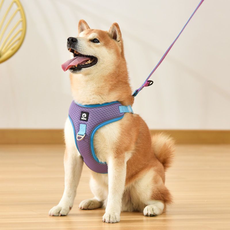 Dog Harness Adjustable Breathable