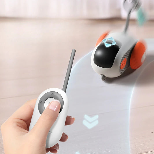 Control Interactive Cat Toy