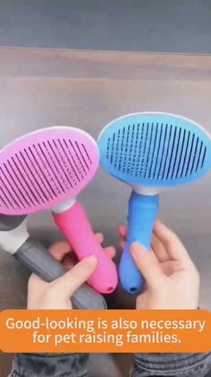 1.mp4