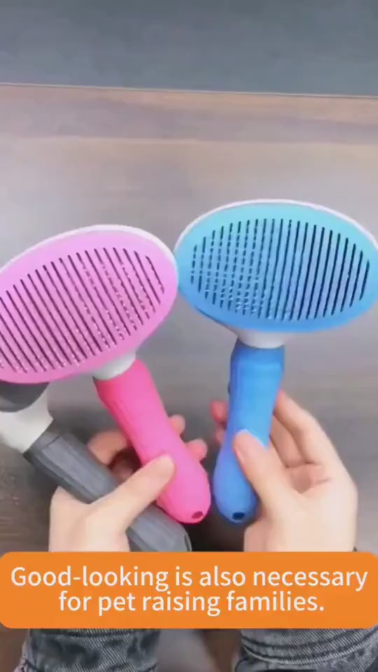 1.mp4